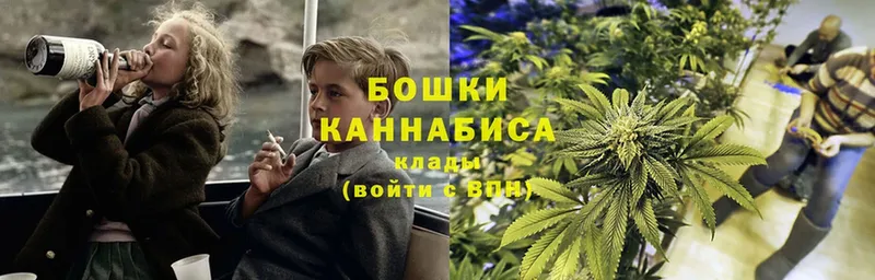 Каннабис White Widow  закладка  Киржач 